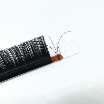 China Easy to Graduate Dragon Lash Vendor Handmade Hot Sale Full Lash Individual Eyelash Extensions Silk Fluffy .15 D Loop Faux Mink for sale