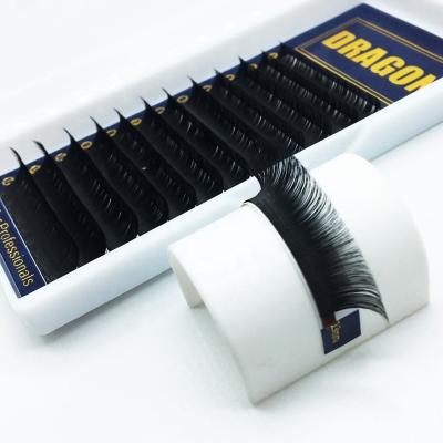 China Long Natural Bulk Price .03 .05.07.10 5-25MM Matte Black Soft Korean PBT Private Label Eyelash Extension Tray for sale