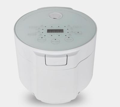 China New Hotel Design Smart 5L Capacity Low Sugar Rice Cooker for sale