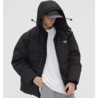 China Anti-wrinkle OEM Plus Size Custom Men's Winter Outdoor Padded Winter Heated Hooded Stripper Jacket Coat for sale