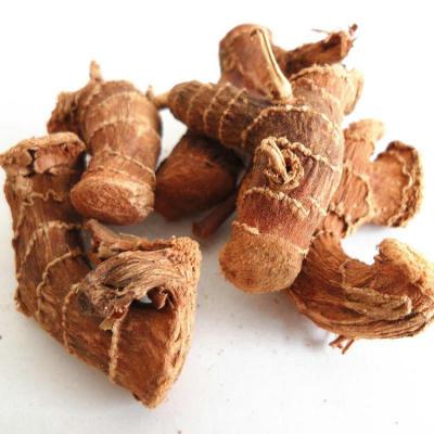 China Dry specialization in the production of agricultural product galangal roots for sale