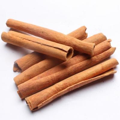 China Cinnamon and Cassia Stick With High Quality Dried Chinese for sale