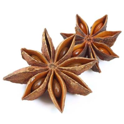 China Hot Selling Dried Guangxi Dried Star Anise 2020 for sale