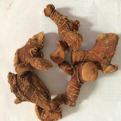 China High Quality Dried Galangal Root For Sale for sale