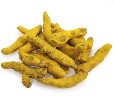 China Chinese Dried Yunnan Dried Turmeric Finger for sale