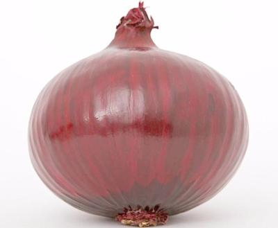 China Fresh chinese fresh red and yellow onion for sale