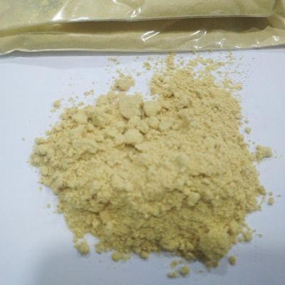 China High Quality Bulk Organic Dehydrated Dried Garlic Powder for sale