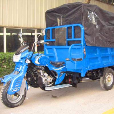 China Cargo used for agriculture and public transport three wheel motor vehicle transport goods for sale