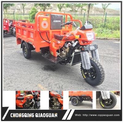 China Cheap adult cargo gas motor NULANG tricycle truck cargo tricycle for sale for sale