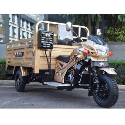 China Loncin Motorcycle 250cc 3 Wheel Pertol Cargo Bike Truck Cargo Tricycle for sale