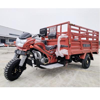 China 400cc Cargo Power King 3000Kg One Passenger Seat Cargo Step Up Cargo Box Tricycle for sale