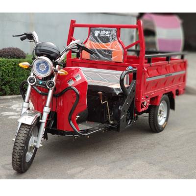 China 2018 Evolution Cargo Sitting Electric Tricycle Looking Small Cargo Tricycle for sale