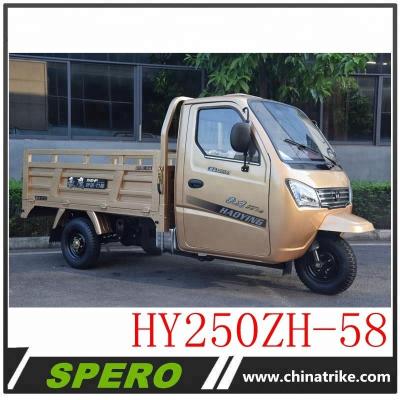 China 250cc Lifan Motor Cargo Engine Luxury Gas Hot Scale Model Closed Cabin Tricycle for sale