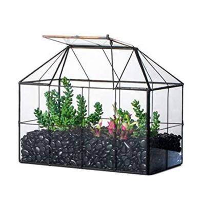 China Plant Modern High Quality Mini Greenhouse Flower Home Garden Succulent Glass Decoration for sale