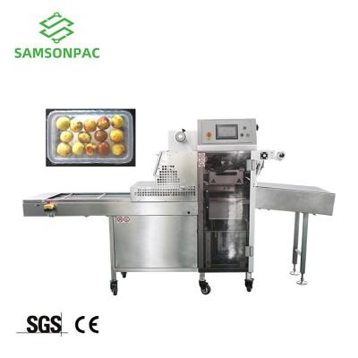 China Food High Speed ​​Modified Atmosphere Packaging Machine , Fruit Vacuum Packing Machine for sale