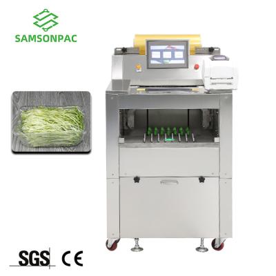 China Plastic Food Shrink Wrapping Machine Wrapping Soap Perfume Box Flow Wrapping Machine for sale