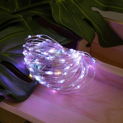 China Usb RGB String Light New Product Drop Shipping Multiple Methods Copper Wire RGB LED String Fill Light for sale