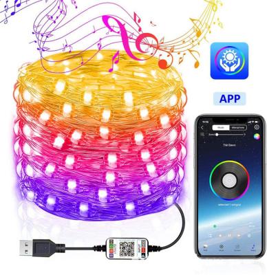 China APP Copper String Light CE ROHS Certificated Drop Shipping Decoration USB Powered LED Fairy String Light for sale