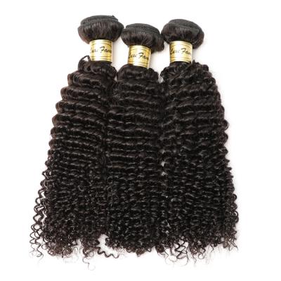 China Cheap Raw Kinky Curl Donor One Unprocessed Hair, 12-26 Inch Kinky Curly Brazilian Hair, Real Glory Brazilian Tight Kinky Curly Hair for sale