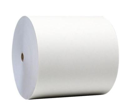 China White Single PE Coated Paper Roll  Biodegradable Waterproof for sale