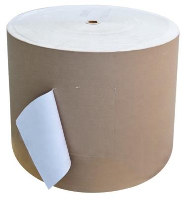 China Customized Size Food Grade Waterproof White PE Coated Kraft Paper Jumbo Roll Te koop