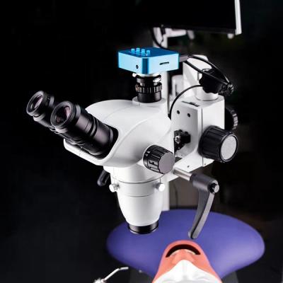 China China Metal Microscope Oral Stereo Endodontic Lap Dental Working Dental Digital Microscope With Camera for sale