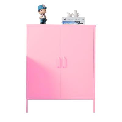 China High Quality Custom Steel Adjustable Metal 2 Doors Metal File Cabinet (Size) Pink Living Room Cabinet for sale