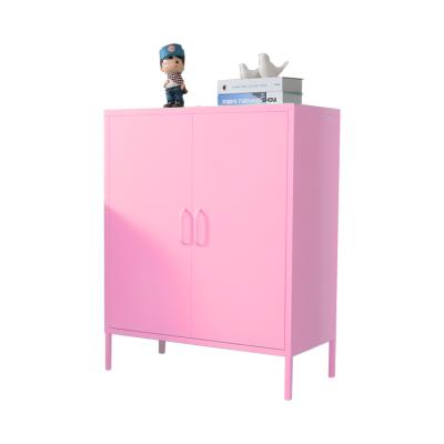 China Assemble Pink Living Metal Cabinet File Cabinet 2 Doors Custom Steel Metal High Quality for sale