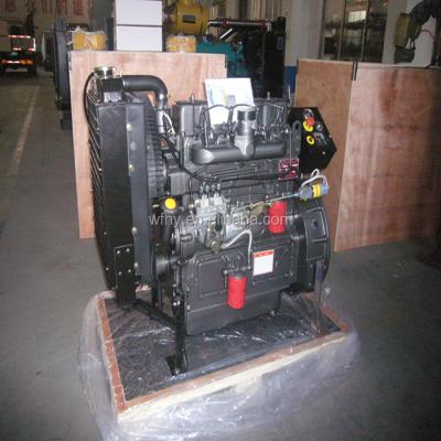 China 495D water cooled diesel engine with protection kits export to Thailand for sale