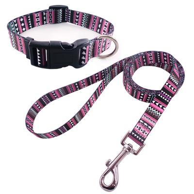 China Custom Dog Leash And Collar Polyester Pet Clothes Eco - Friendly Dog Leads Set Wholesale Dog Collar And Leash Set for sale