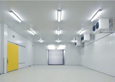 China Industrial Modular Freezer Room For Ice Cream / Meat / Fruit Cold Storage for sale