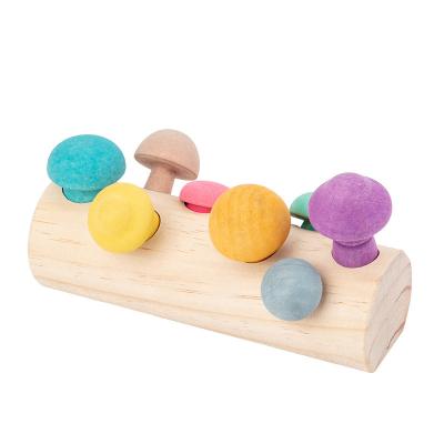 China Educational Wooden Toy Montessori Wooden Rainbow Building Blocks Mushroom Picking Game Baby Toys Developmental Shape Assembly Matching Plug for sale