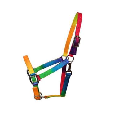 China Synthetic Saddle Equipment Webbing Rainbow Horse Equestrian Halter With Hardware for sale