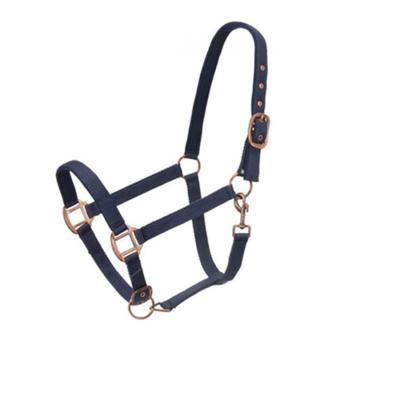 China Synthetic Saddle Padded Halter With Better Webing Material PP Antique Halters For Horses for sale