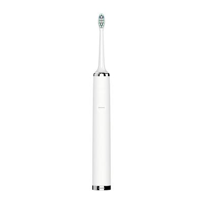 China Chylee Smart Private Label High Clean Single Classy White Thin Usb Rechargeable Electric Toothbrush With 2 Min Timer for sale