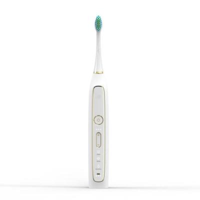 China Best Adult Sonic Electric Toothbrush Private Label Chylee Electric Toothbrush Sale Adult Wholesale for sale