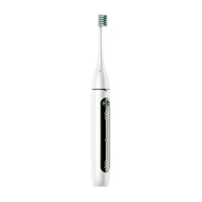 China Adult Chylee Long Life Lithium Battery Cost Effective Sonic Toothbrush Travel High Quality Toothbrush for sale