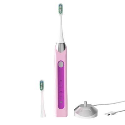 China Adult Chylee Low Price Rechargeable Sonic Electric Toothbrush Oem Waterproof Smart Toothbrush for sale