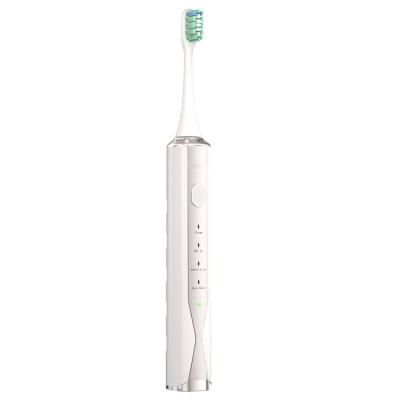 China Adult Chylee Sonic Toothbrush Wireless Charging Electric Waterproof Adult Chylee Factory Price for sale