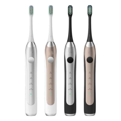 China Hot New Adult Chylee Radio Charging Smart Electric Toothbrush Electric Toothbrush Customization for sale