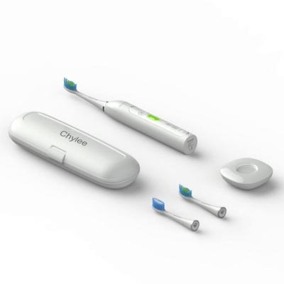 China Adult Chylee Induction Sonic Electric Toothbrush Cheap Whitening Rechargeable Electric Toothbrush for sale