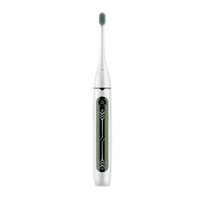 China Adult Chylee Private Label Sonic Toothbrush Sustainable Automatic Sonic Electric Toothbrush Affordable Ready To Ship for sale