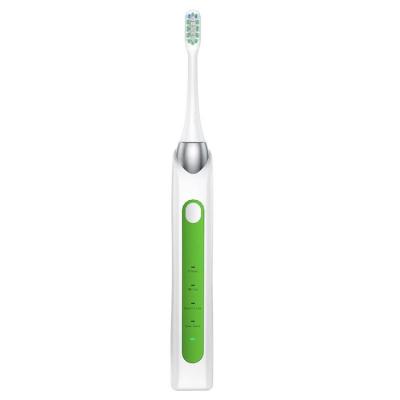 China Adult Chylee Manufacturer Wholesale Rechargeable Waterproof Private Electric Toothbrush Cheap Price for sale