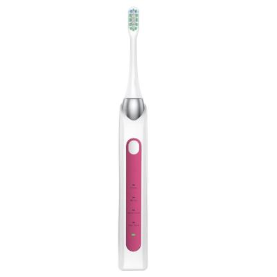 China Adult Chylee OEM Radio Charging Sonic Toothbrush Smart Electric Toothbrush Waterproof for sale