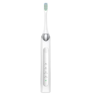 China Adult Chylee Radio Rechargeable Sonic Electric Toothbrush Waterproof China Oral Care Own for sale