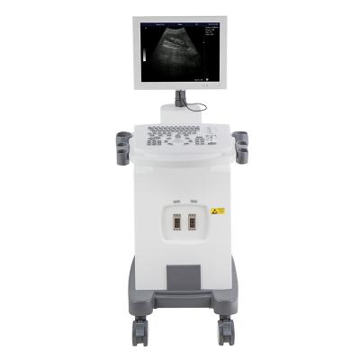 China Hot Selling Metal Color Doppler Ultrasound Diagnostic System Medical Machine Portable Ultrasound Machine for sale