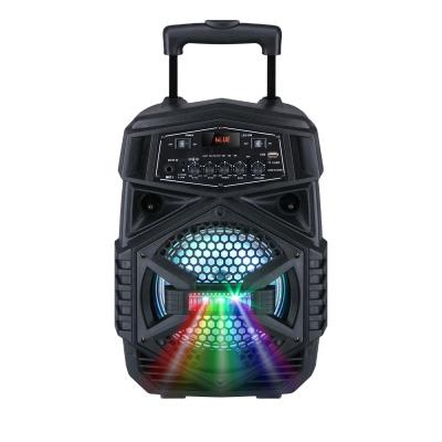 China No Cart Rechargeable 8inch Portable Speaker With Wireless Microphone for sale