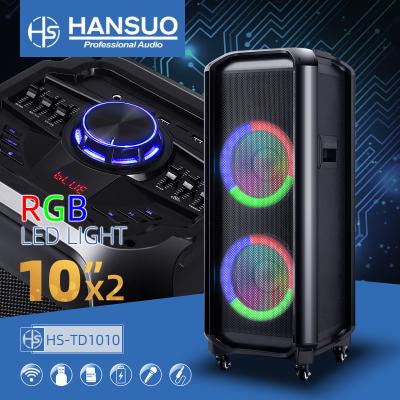 China Hansuo Factory Dual 10inch Party Computer Speaker Supply Current Model HS-TD1010 for sale