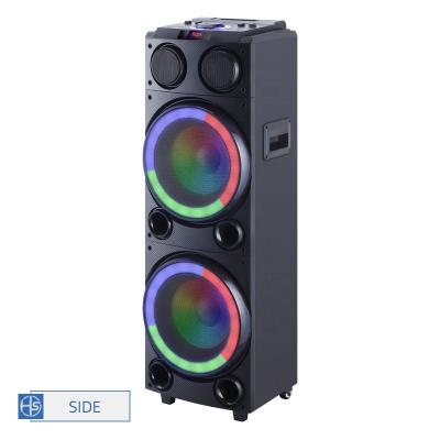 China Double Function Phone 10 Inch Portable Led Lightweight Multi Function Trolley Party Speaker for sale