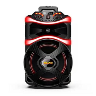 China Private Portable Powered Rechargeable 12 Inchg Trolley Model Speaker With Colorful Light Speaker for sale